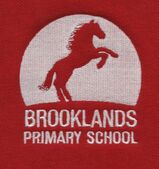 Brooklands Primary School - Essex Logo